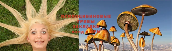 крисы Абдулино