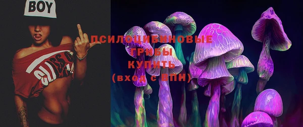 крисы Абдулино