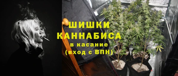 крисы Абдулино