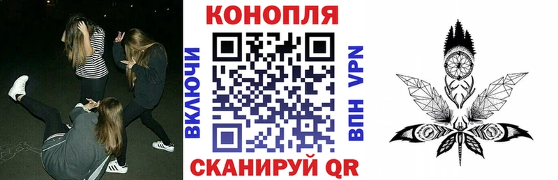 где можно купить   Североморск  МЕГА вход  Каннабис VHQ 